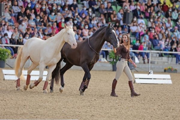 7 Trainings-Tipps von Kenzie Dysli